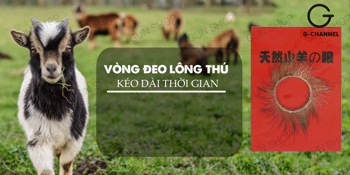 Đánh giá Vòng đeo kéo dài thời gian lông thú hàng mới về Đánh giá Vòng đeo kéo dài thời gian lông thú hàng mới về