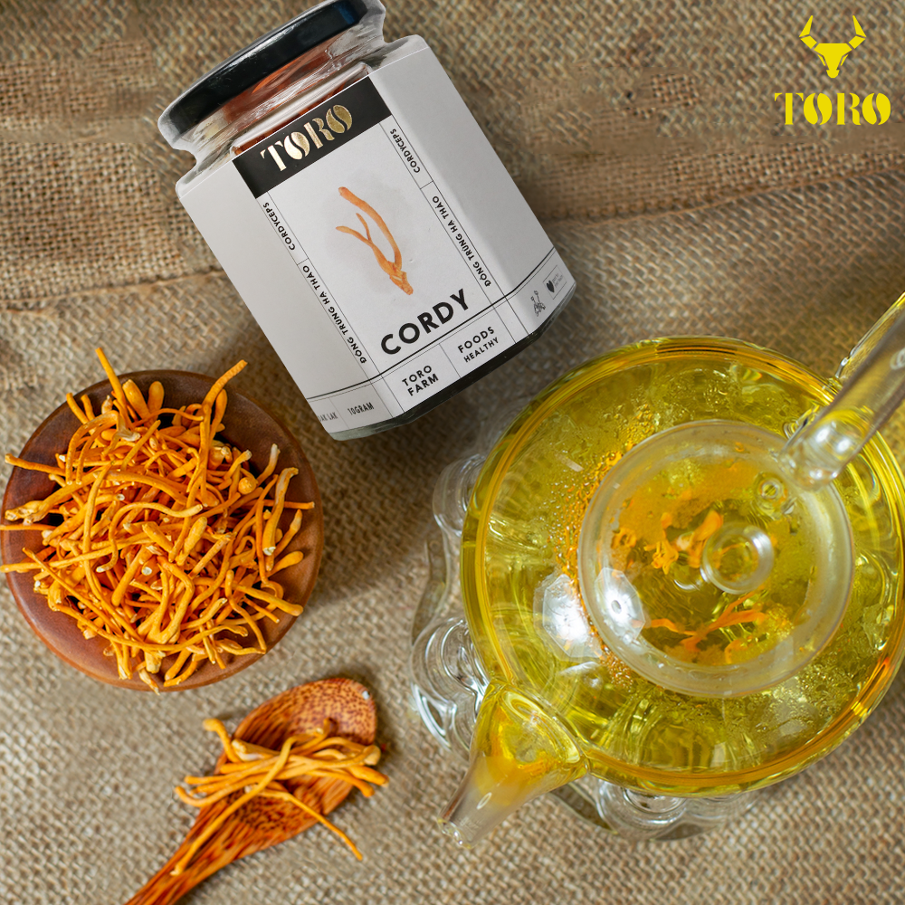  Phân phối Đông trùng hạ thảo Toro - Sấy thăng hoa nguyên sợi cải thiện chức năng sinh lý - Hũ 10g mới nhất