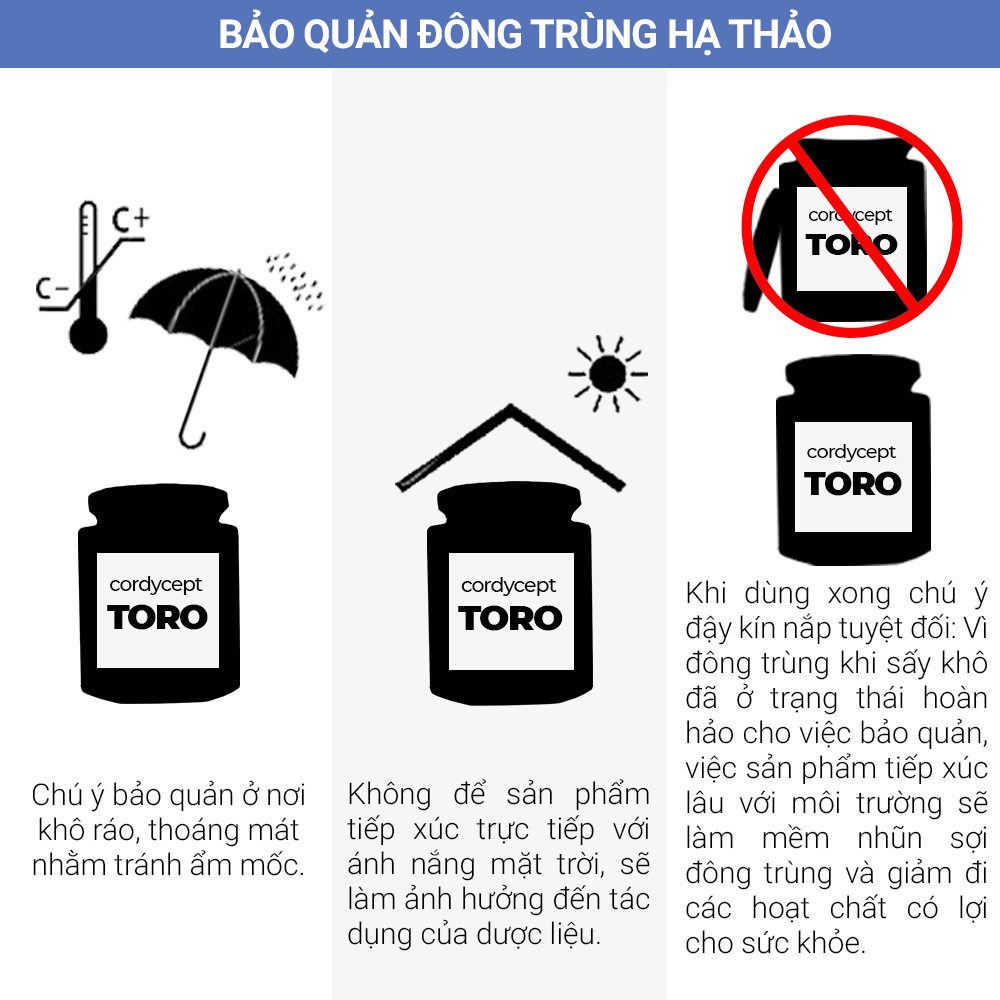  Phân phối Đông trùng hạ thảo Toro - Sấy thăng hoa nguyên sợi cải thiện chức năng sinh lý - Hũ 10g mới nhất