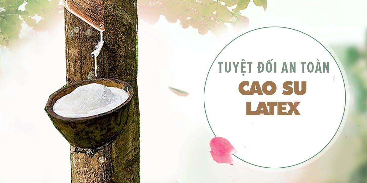 Địa chỉ bán Bao cao su Quinn Nude Fit - Siêu mỏng chống tuột - Hộp 12 cái giá sỉ Địa chỉ bán Bao cao su Quinn Nude Fit - Siêu mỏng chống tuột - Hộp 12 cái giá sỉ