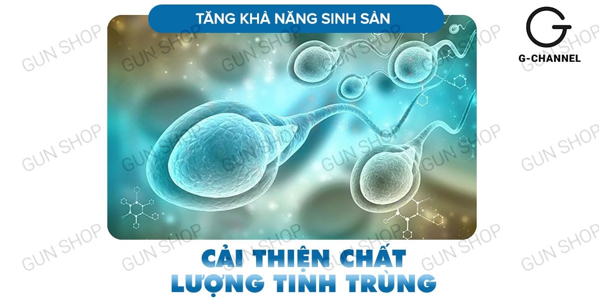 Mua Viên uống hỗ trợ cương dương tăng cường sinh lý Maxman - Hộp 10 viên mới nhất Mua Viên uống hỗ trợ cương dương tăng cường sinh lý Maxman - Hộp 10 viên mới nhất
